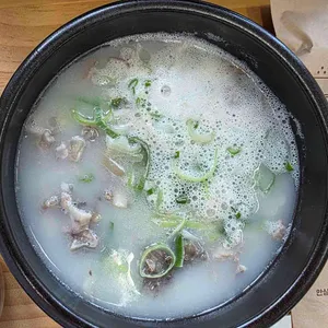 미스터 사진
