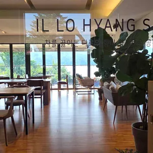 일로향실 리뷰 사진
