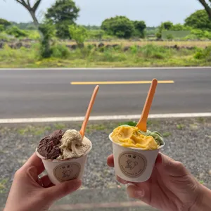 하음 사진 2
