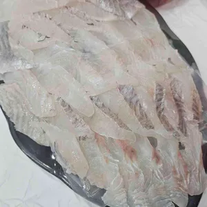 마파도 회 시장 사진