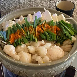 쿠히치 사진