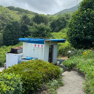새벽촌 리뷰 사진