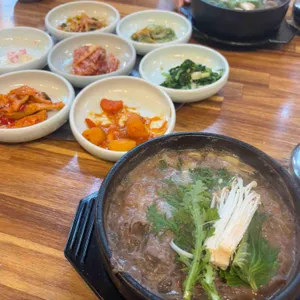 무궁화 사진
