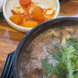 무궁화 사진