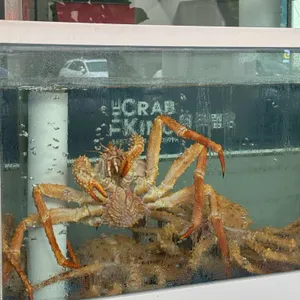 야바다더크랩킹 리뷰 사진