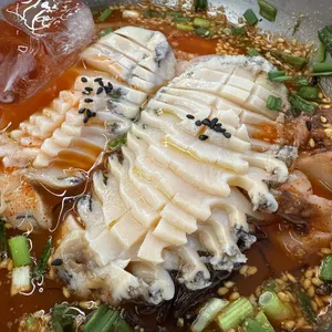 해마지 사진