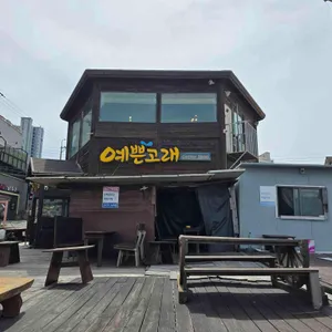 예쁜고래 리뷰 사진