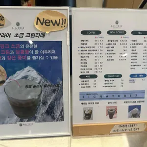 빅트리 리뷰 사진