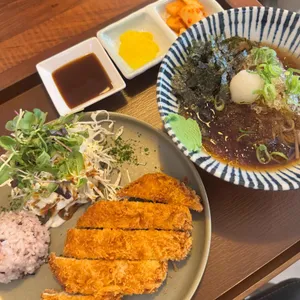 고꼬 사진