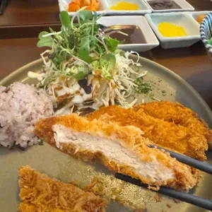 고꼬 사진