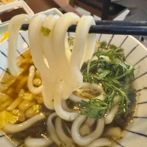 고꼬 사진