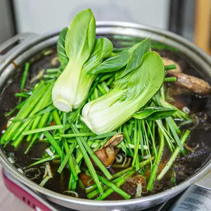 느티나무 사진