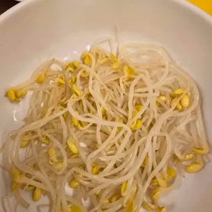 무교동유정낙지 사진