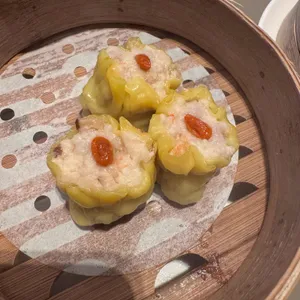 팀호완 사진
