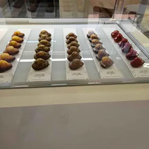 노틀던 리뷰 사진