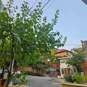 필운동주 리뷰 사진