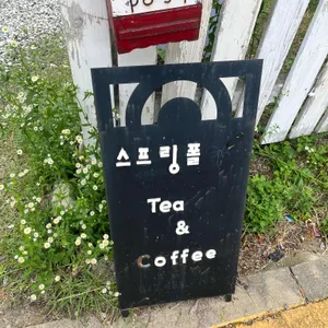 스프링폴 카페 사진