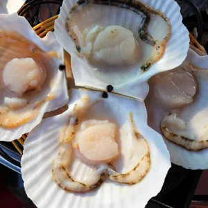 송정 조개홀릭 리뷰 사진