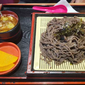 다미가 사진 2