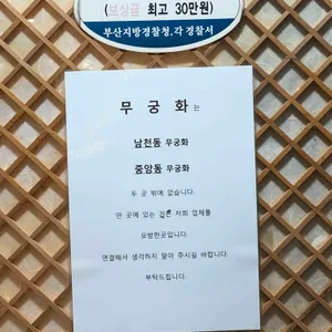무궁화 리뷰 사진