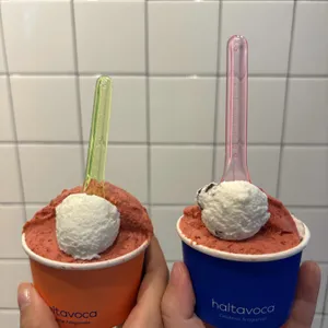 할타보카 사진