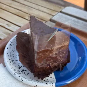 노트르 사진