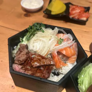 코이키 사진