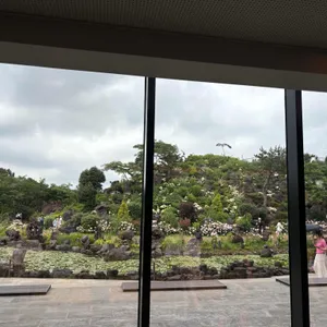 스타벅스 리뷰 사진
