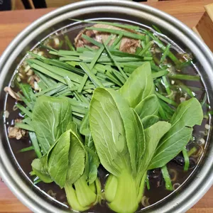 느티나무 사진