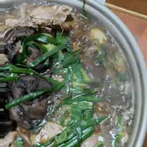 느티나무 사진