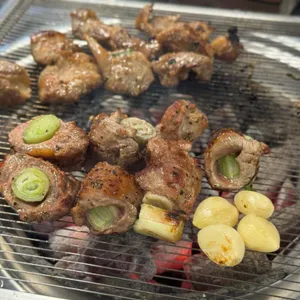 탄천갈매기 사진