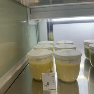 우무&우무솝 사진