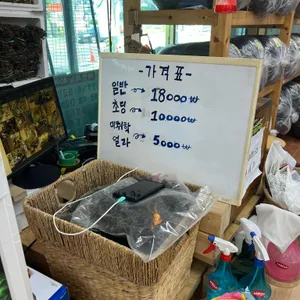 열매랑뿌리랑 리뷰 사진