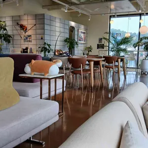 카페 백야 리뷰 사진