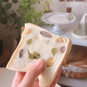 테디브레드 카페 사진