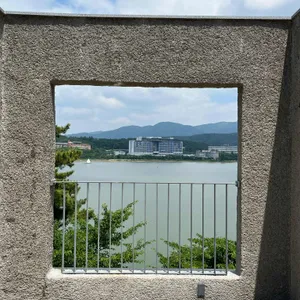 엘로우 리뷰 사진