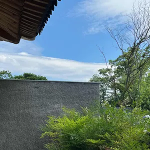 엘로우 리뷰 사진