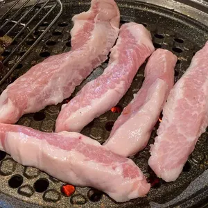 탐라도야지 사진