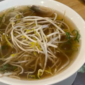 포메인 사진