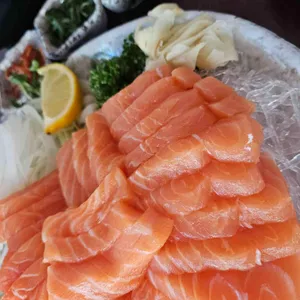 야마 사진