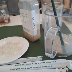 멜로우디 사진