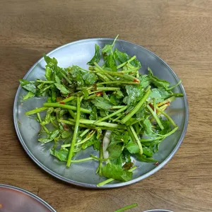 능동미나리 사진