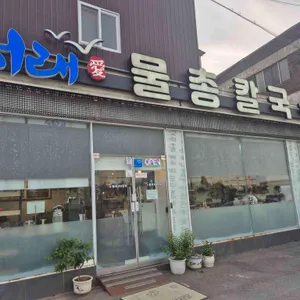 서래애 물총칼국수 리뷰 사진