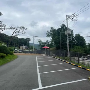 영산강민물장어 리뷰 사진