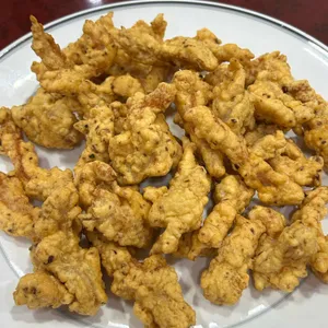 송원 사진