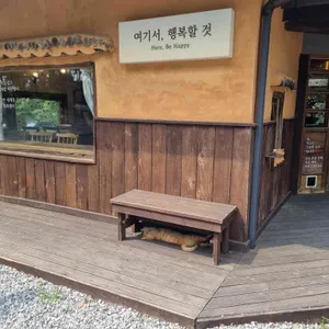 여기서 행복할 것 리뷰 사진