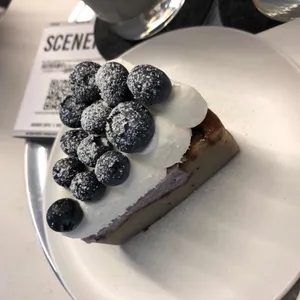 시너리 사진