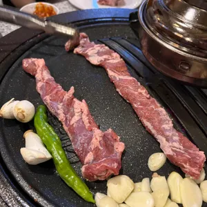 부산갈매기 사진 1