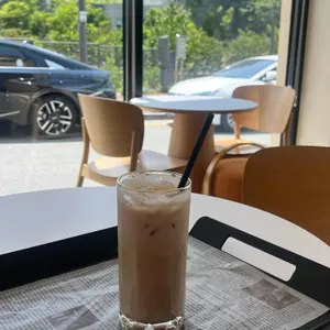 레파스 사진
