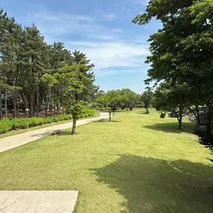 이끼숲소길 리뷰 사진